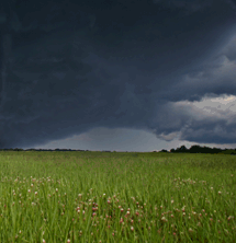 Tornado