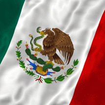 Mexican Flag